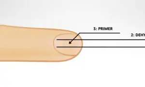 Schemat aplikacji produktów do paznokci: cleaner, dehydrator i primer. Wybór między primer kwasowy czy bezkwasowy zależy od potrzeb.