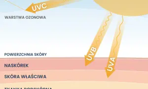 Promieniowanie ultrafioletowe UVA i UVB dociera do skóry, UVC jest blokowane przez warstwę ozonową.