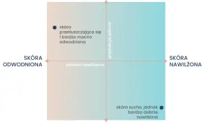 Wykres przedstawia typy skóry: odwodniona, tłusta, sucha i nawilżona. Jeden z punktów opisuje skórę przetłuszczającą się i bardzo mocno odwodnioną, co jest jednym z objawów odwodnienia.