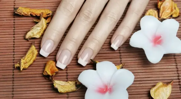 Dłoń z idealnym francuskim manicure, który podkreśla najładniejszy kształt paznokci. Otoczona suszonymi liśćmi i białymi kwiatami.
