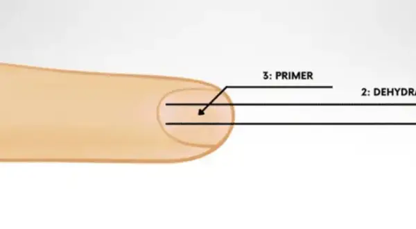 Schemat aplikacji produktów do paznokci: cleaner, dehydrator i primer. Wybór między primer kwasowy czy bezkwasowy zależy od potrzeb.