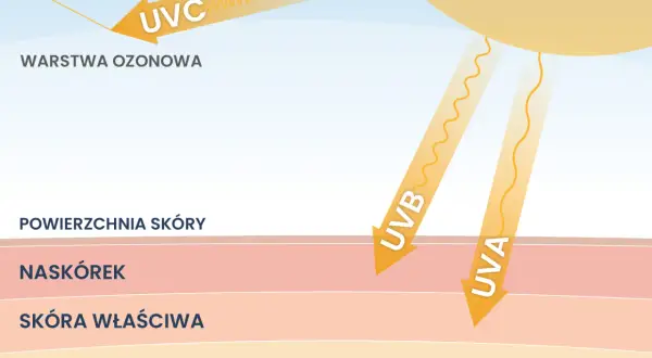 Promieniowanie ultrafioletowe UVA i UVB dociera do skóry, UVC jest blokowane przez warstwę ozonową.