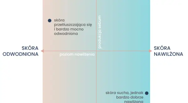 Wykres przedstawia typy skóry: odwodniona, tłusta, sucha i nawilżona. Jeden z punktów opisuje skórę przetłuszczającą się i bardzo mocno odwodnioną, co jest jednym z objawów odwodnienia.