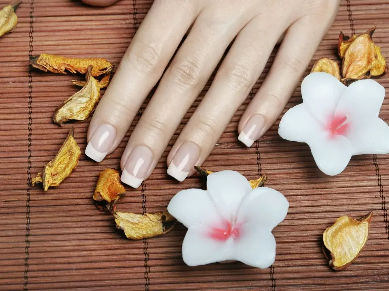 Dłoń z idealnym francuskim manicure, który podkreśla najładniejszy kształt paznokci. Otoczona suszonymi liśćmi i białymi kwiatami.
