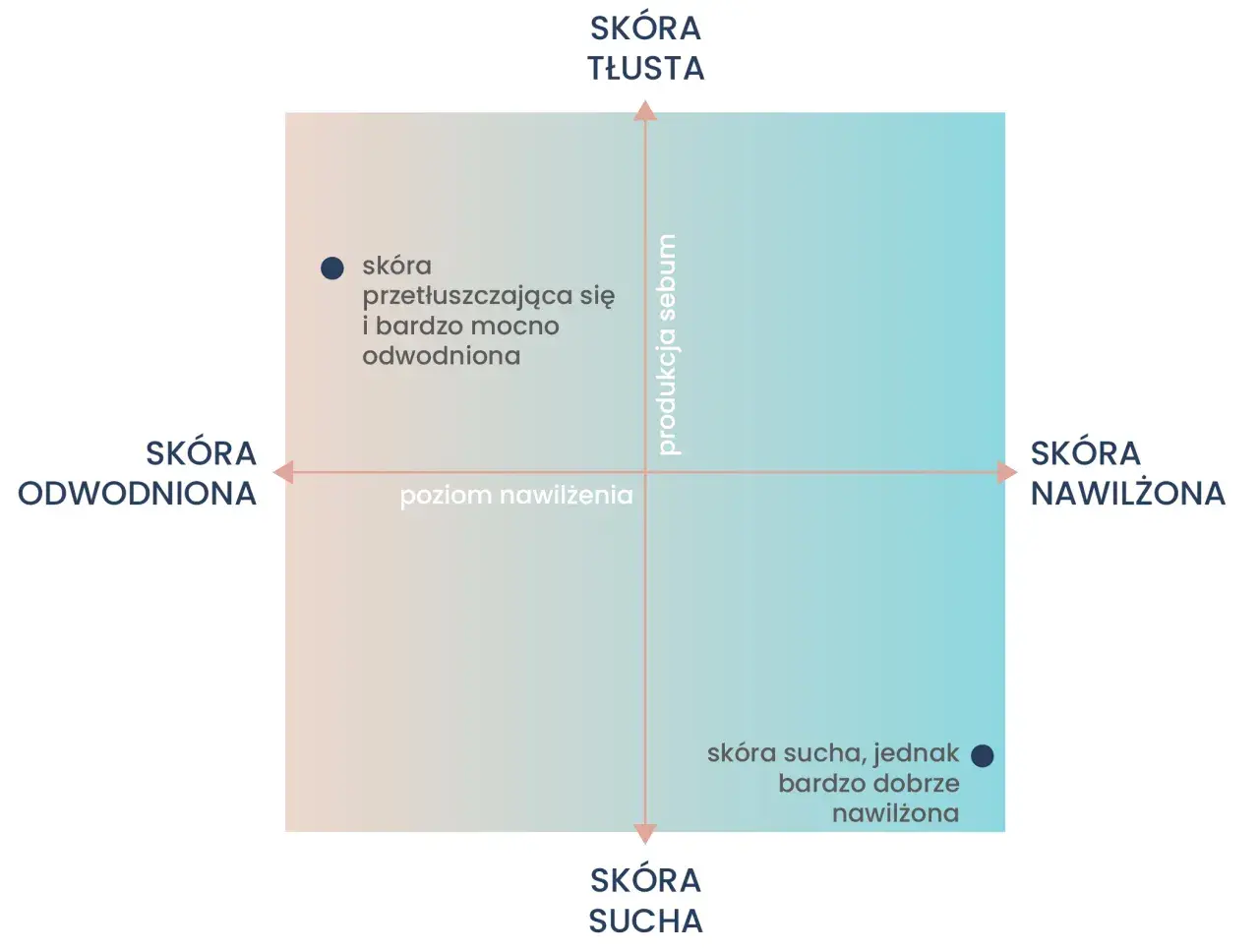 Wykres przedstawia typy skóry: odwodniona, tłusta, sucha i nawilżona. Jeden z punktów opisuje skórę przetłuszczającą się i bardzo mocno odwodnioną, co jest jednym z objawów odwodnienia.