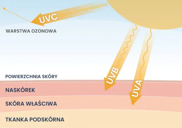 Promieniowanie ultrafioletowe UVA i UVB dociera do skóry, UVC jest blokowane przez warstwę ozonową.